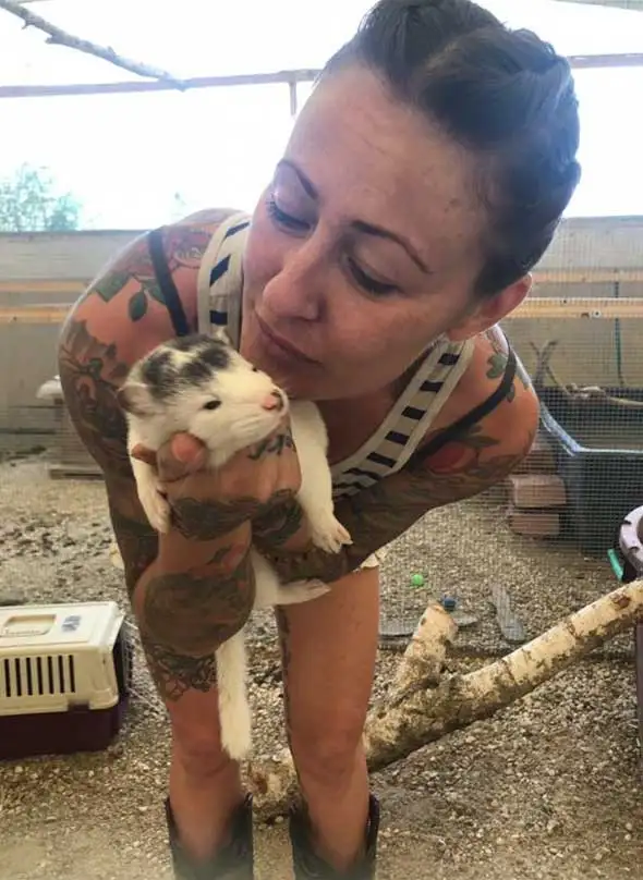chi siamo allevamento animali esotici domestici 02