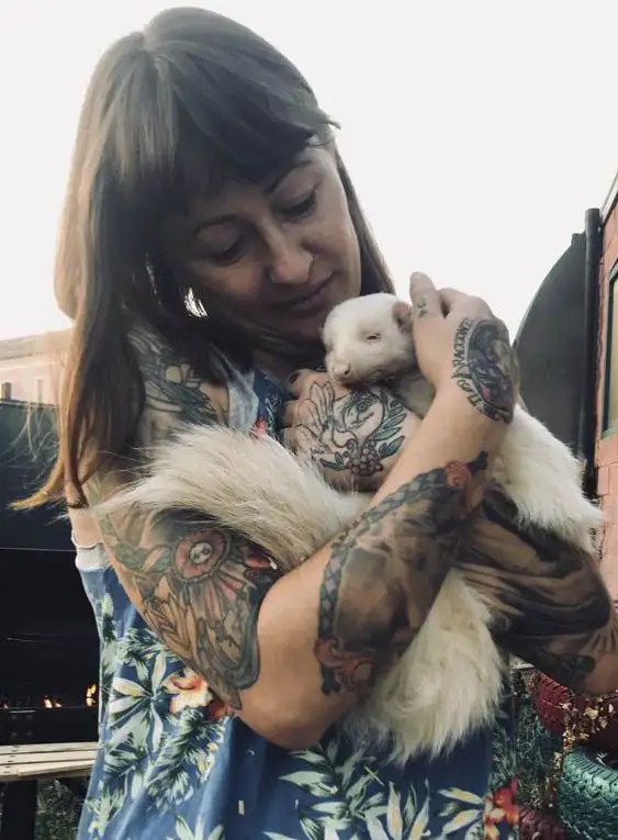 vendita allevamento animali esotici 03 risultato